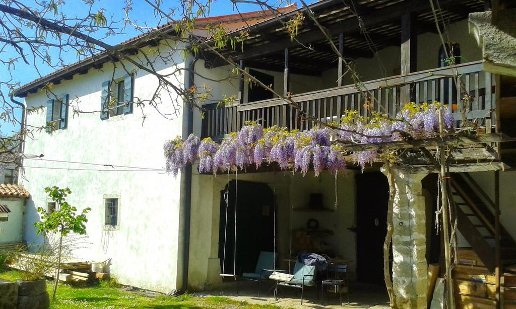 Apartmaji Hedera Komen Exterior foto