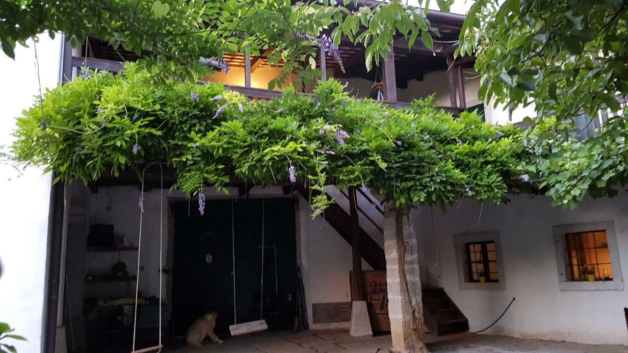 Apartmaji Hedera Komen Exterior foto